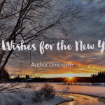 My Wishes for the New Year