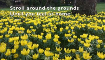 Mrs. Robinson – Simon & Garfunkel