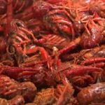 The-Crawfish-Shack-Texas-Country-Reporter