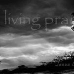 A Living Prayer – Alison Krauss