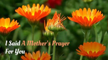 I Said a Mother’s Day Prayer for You