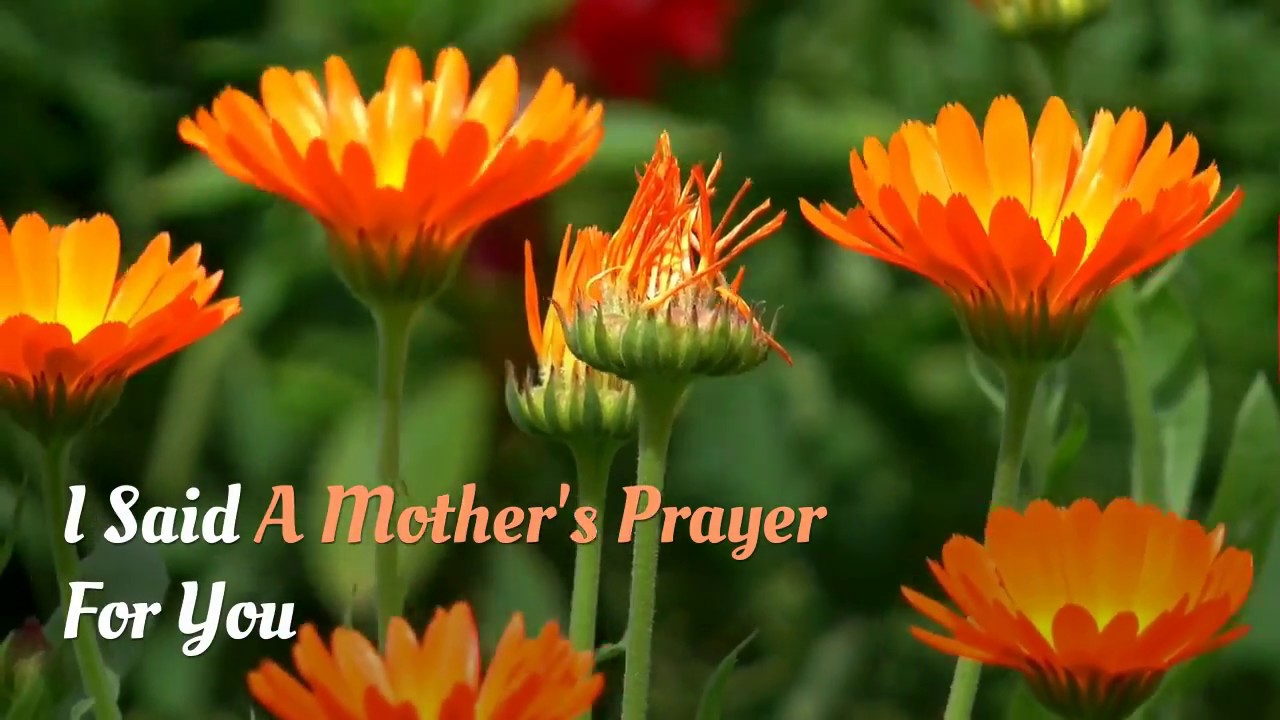 I Said a Mother's Day Prayer for You