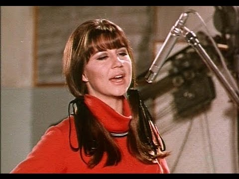 I'll Never Find Another You - The Seekers - NetHugs.com