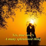 Love Is a Many Splendored Thing – Andy Williams