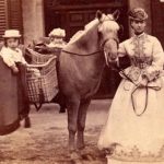 44 Incredible Photos That Show the 19th Century World