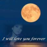 Tonight My Love Tonight (1961) – PAUL ANKA – Lyrics