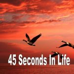 45 Secons In Life