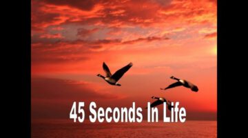 45 Secons In Life