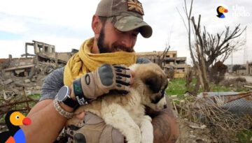 Soldier Saves Puppy Then Realizes He Can’t Live Without Her