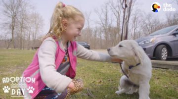 Very Special Puppy Gets a Sister Who’s Just Like Him