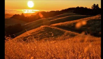 Gladiator OST – Elysium, Honor Him & Now We Are Free