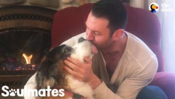 People Give Their Rescue Pets the Most Love