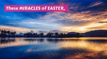 Miracles of Easter