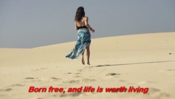 Born Free – Andy Williams