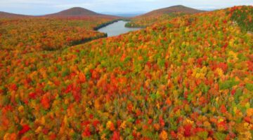 This is Fall Foliage in Groton Vermont