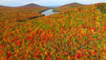 This is Fall Foliage in Groton Vermont