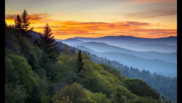 Sometimes Sunshine – Jim Ed Brown