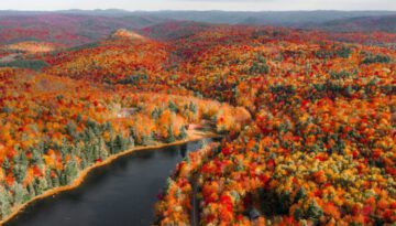 Peak Fall Foliage in New England