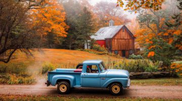 Simple Autumn Days in the Countryside