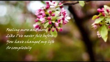 Happy Heart – Andy Williams