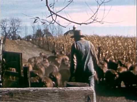This Is Life (1950)