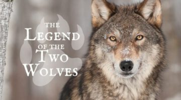 The Story of Two Wolves