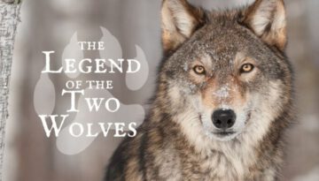 The Story of Two Wolves
