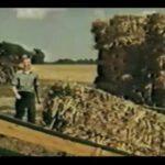 The American Farmer - 1953