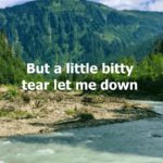 A Little Bitty Tear – Burl Ives