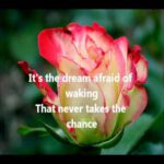 The Rose – Conway Twitty (Lyrics)