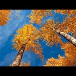 Autumn - John Denver Autumn – John Denver