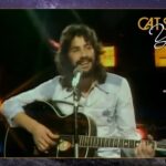 Wild World – Cat Stevens (Live)